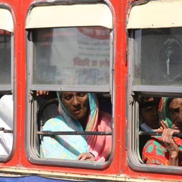 India Urban Public Transport Survey